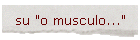 su "o musculo..."